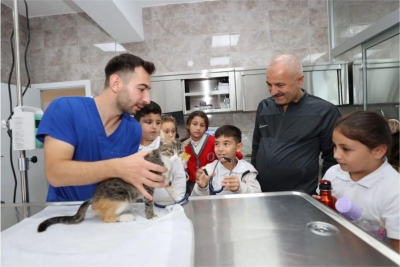 Gebze’de 309 Patili Cana Yeni Yuva Bulundu