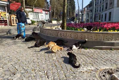 Gebze’de Dezenfekte Çalışmaları