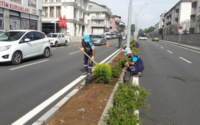 Gölcük’te orta refüjler ve üçgen adalar yeşilleniyor