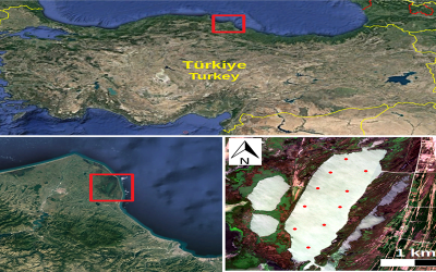 GTÜ Uydudan Su Kirliliğini Tespit Edebiliyor