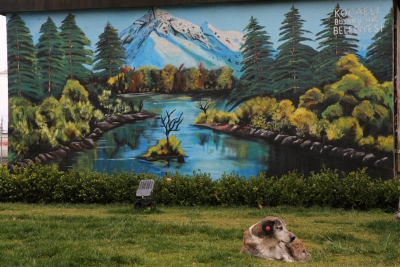 “Güzel Şehrim Kocaeli” ile şehir rengârenk