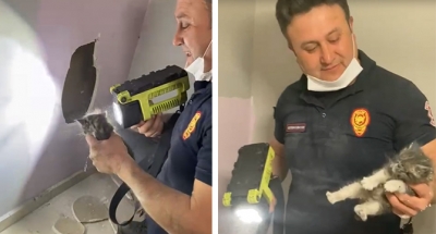 Havalandırma boşluğunda mahsur kalan kediyi itfaiye kurtardı