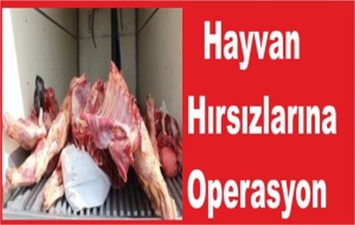 HAYVAN HIRSIZLARINA OPERASYON