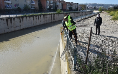 İzmit Belediyesi sivrisinekle mücadeleye hız verdi 