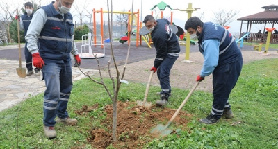 İzmit’te çocuklar meyveyi dalından yiyecek