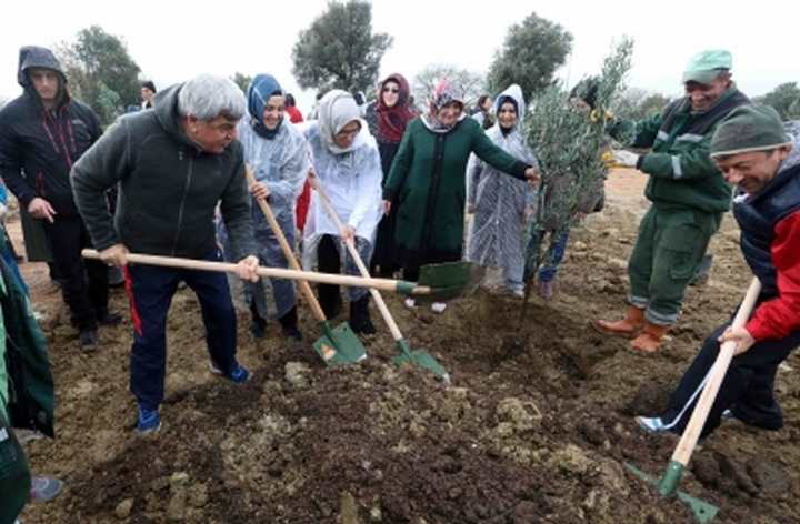 Kadın Kollarından  Zeytin Dalı Ormanı