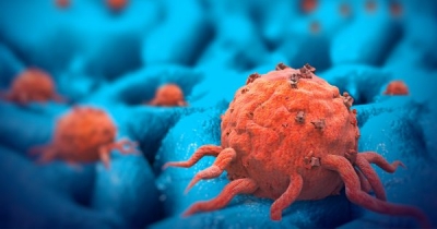 Kanser Hücreleri Her İnsanda Var mı?