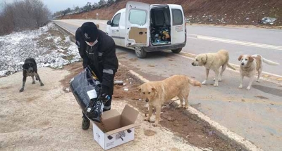 Kar yağışı öncesi sokak hayvanlarına kuru mama