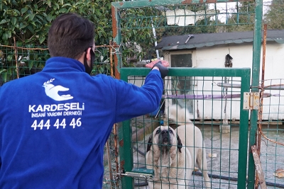 KARDEŞ ELİ DERNEĞİ SOKAK HAYVANLARININ YANINDA