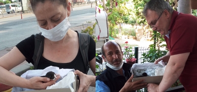 KARTEPE BELEDİYESİ YAVRU KEDİYE YUVA BULDU