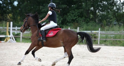 KARTEPE SPORTİF BAŞARILAR DOYMUYOR