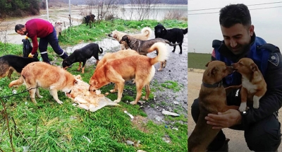 KARTEPE’DE SOKAK HAYVANLARI DA MUTLU