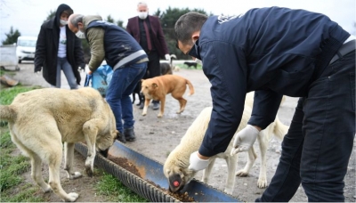 KARTEPE’DE SOKAK HAYVANLARI DA UNUTULMADI