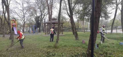 KARTEPE’DE YABANİ OTLARA GEÇİT YOK