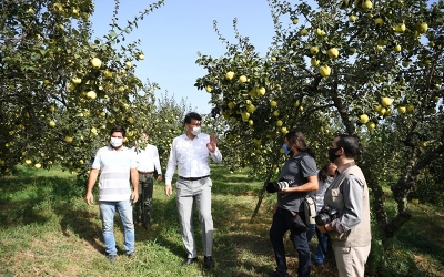 KARTEPE’DEN DÜNYAYA EŞME AYVASI