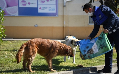 KARTEPE’NİN SOKAK DOSTLARI RAMAZANDA DA UNUTULMUYOR