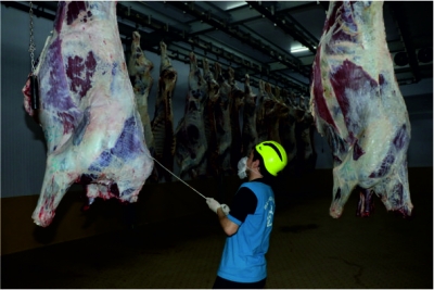 Kasapların tercihi Büyükşehir Mezbahası