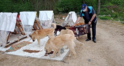 Kısıtlamada sokak hayvanları unutulmadı