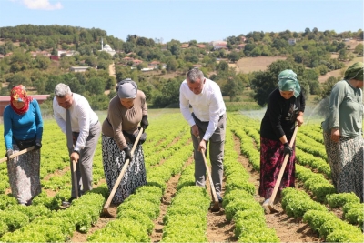 KOCAELİ’DE TARIM HER GEÇEN GÜN GÜÇLENİYOR