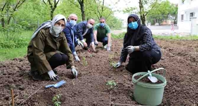 KOCAELİMİZİN ATA TOHUMLARI TOPRAKLA BULUŞTU