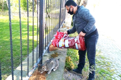 Körfez Belediyesi sokak hayvanlarını unutmadı