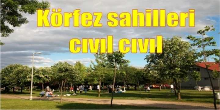 Körfez sahilleri cıvıl cıvıl
