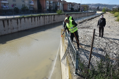 Koronadan sonra, sivrisineklere karşı da mücadele başlattı