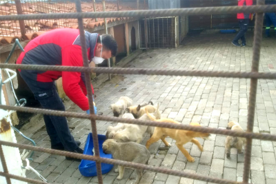 Koronavirüsle savaşa Vestel’den destek