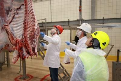 Kurban kesimi başvuruları 15 Mayıs'ta başlıyor