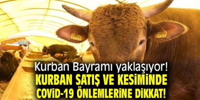 Kurban satış ve kesiminde dikkat!