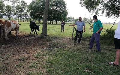 KURBAN YAKALAMA TİMİ İŞ BAŞINDA