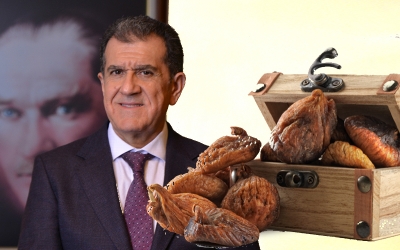 Kuru incirin verim ve kalitesi arttırılacak