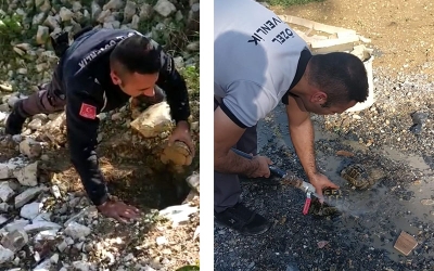 Kuyuya düşen kaplumbağalar kurtarıldı