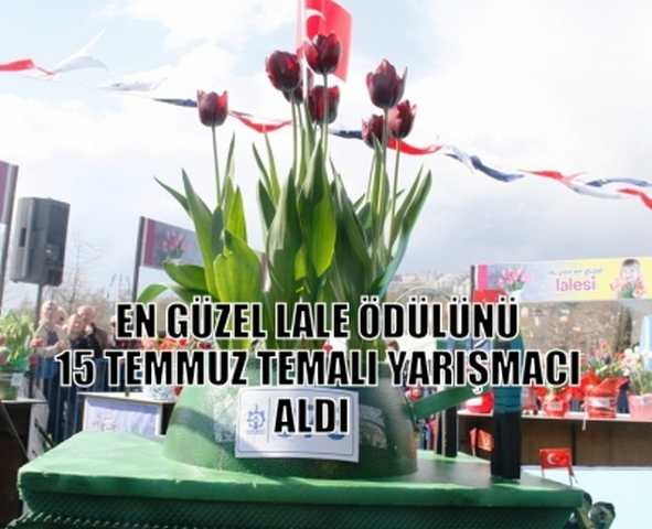 Lale festivaline Yoğun İlgi