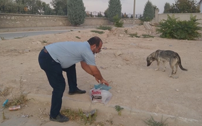 LÜTFİ ŞAHİN KAMPANYA BAŞLATTI