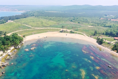 Miço Koyunda yaz hazırlığı başladı