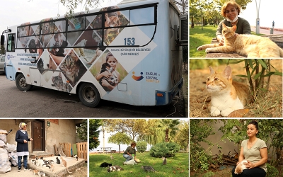 Mobil Kısırlaştırma Aracı takdir topluyor