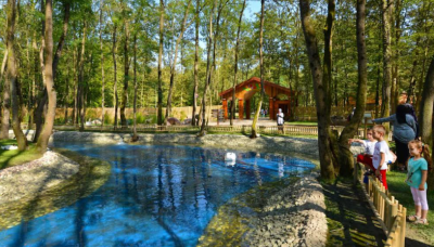 ‘’Ormanya, artık Türkiye’nin markasıdır’’