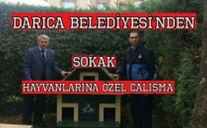 ÖRNEK DAVRANIŞ