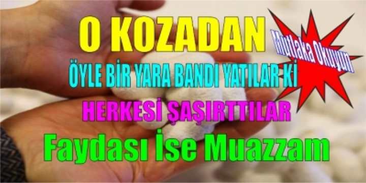 öyle bir yara bandı yaptılar ki herkesi şaşırttılar faydası ile şok ettiler
