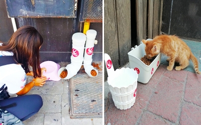 PATİLİ DOSTLARIMIZI UNUTMADILAR