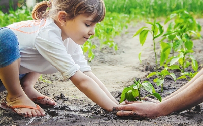 P&G’den 10 yıllık ‘KARBON NÖTR’ planı