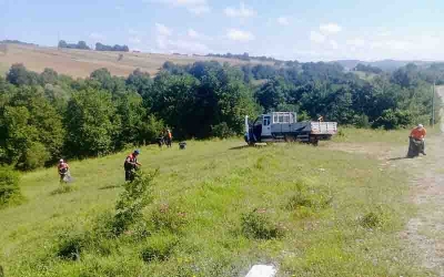 Piknik alanları düzenli temizleniyor