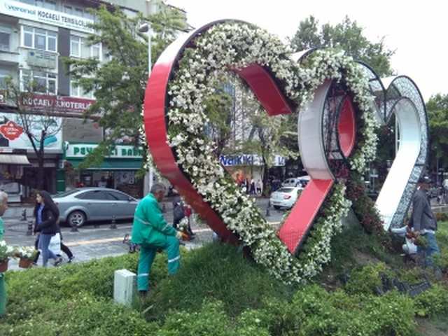 SABRİ YALIMA MEVSİMLİK ÇİÇEKLER DİKİLDİ