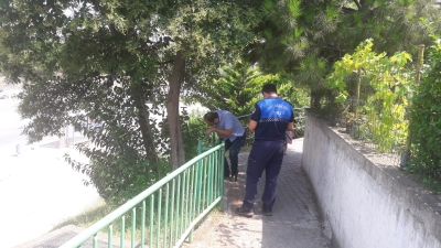 Sağlık Durumu İyi