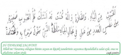 Şahin’in Salavat Eseri Yayımlanacak