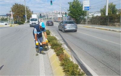 Salim Dervişoğlu Caddesi'nde sonbahar budaması 