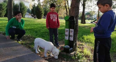 SEVİMLİ DOSTLARA YENİ KAPLAR