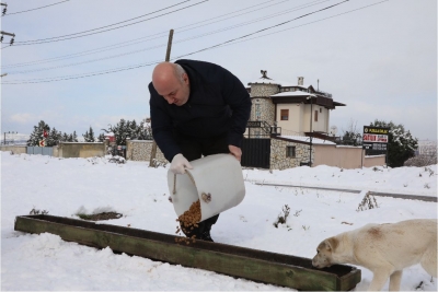 SEVİMLİ DOSTLARIMIZ BİZE EMANET