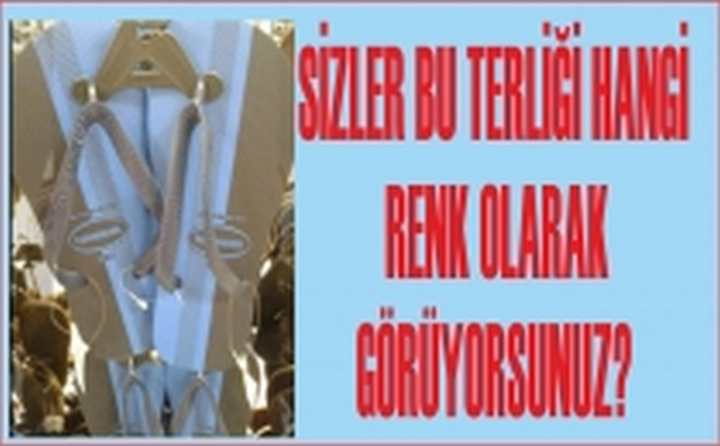 SİZ BU TERLİĞİ NE RENK GÖRÜYORSUNUZ?